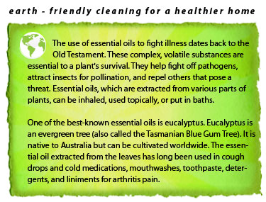 airFreshenFact04 airFreshenFact04